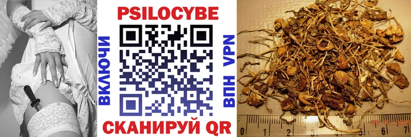 Псилоцибиновые грибы Cubensis Нурлат