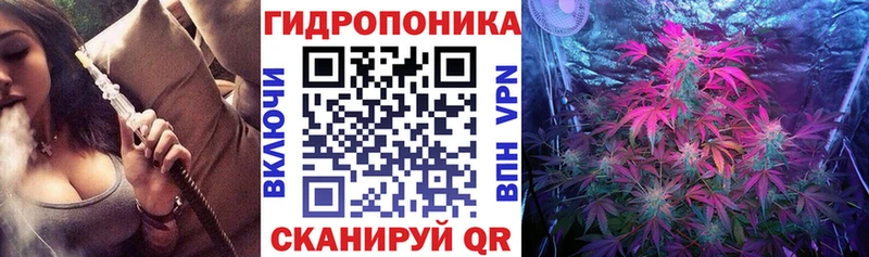 магазин  наркотиков  Нурлат  MEGA онион  Бошки Шишки семена 